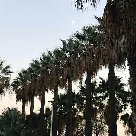 2bdr Reine Astrid קאן